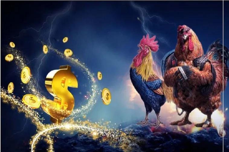 Đá Gà VN88: Bí Quyết Thắng Lớn Từ Cao Thủ Cá Cược 1 Đá Gà VN88: Bí Quyết Thắng Lớn Từ Cao Thủ Cá Cược