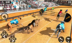 Cách Chơi Game Nhanh Đua Chó Tại VN88: Bí Kíp Săn Thưởng Lớn