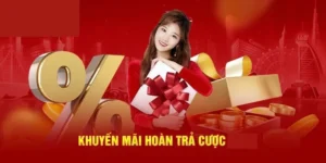Hoàn Trả Không Giới Hạn Tại VN88: Bí Quyết Tối Ưu Lợi Nhuận